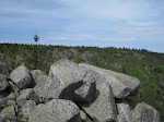 http://lh6.ggpht.com/_429O-23W9gQ/TckIiL7o7nI/AAAAAAAAAkY/HpUKthzU4FA/VosgesEte2011%20094.JPG