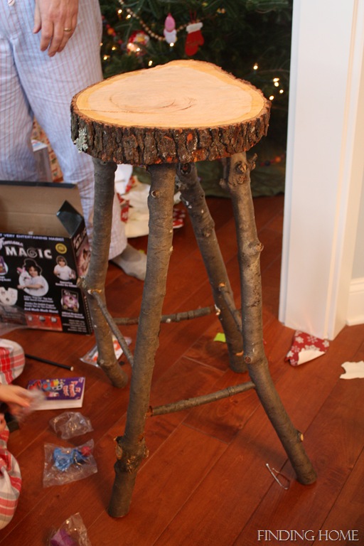 [Christmas-2010-24310.jpg]