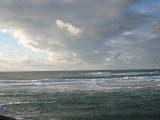 IMG_3111.JPG