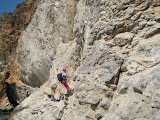IMG_3556.jpg