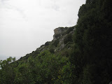 IMG_3641.jpg