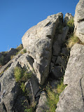 Primeira via
