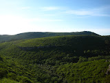 IMG_0794.JPG