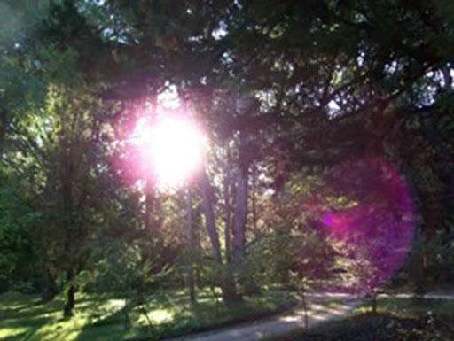 Dsi ar code for the shiny raikou