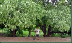 <SAMSUNG DIGITAL CAMERA> <SAMSUNG DIGITAL CAMERA>