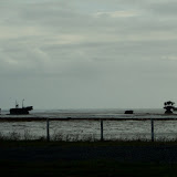 Micro islands at low tide