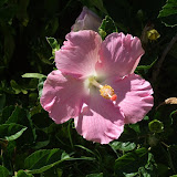 DSCF6607.JPG