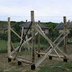 IMG_9225-1.JPG