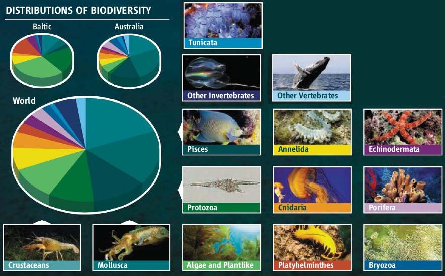 [distribution biodiversity[5].jpg]