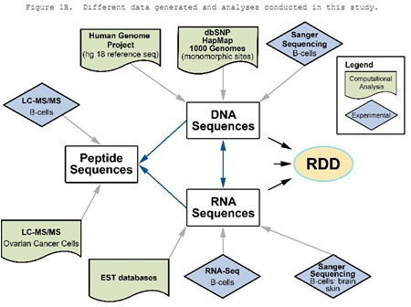 [DNA-RNA-differences[3].jpg]