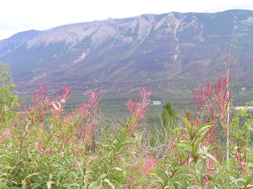 kootenay
