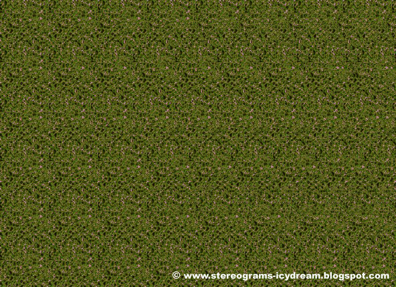 Animated Stereogram