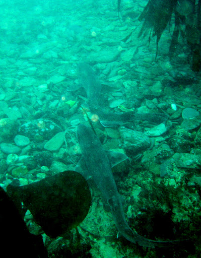 Cоциальная реклама против курения