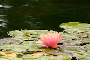 IMG_6081.JPG