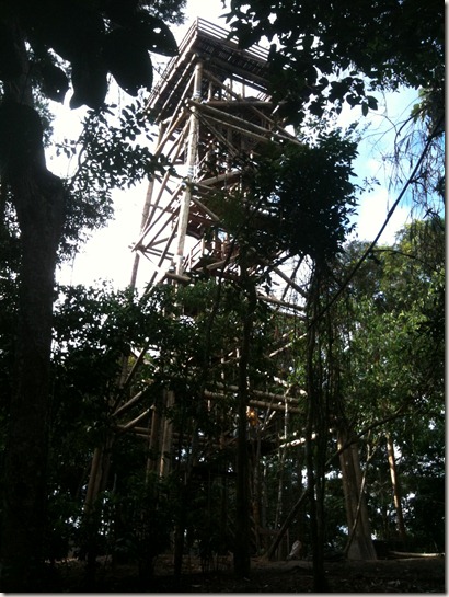 IMG_0501 IMG_0501