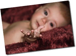 0271_edited-2 copy