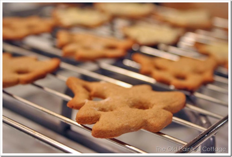 cookie6