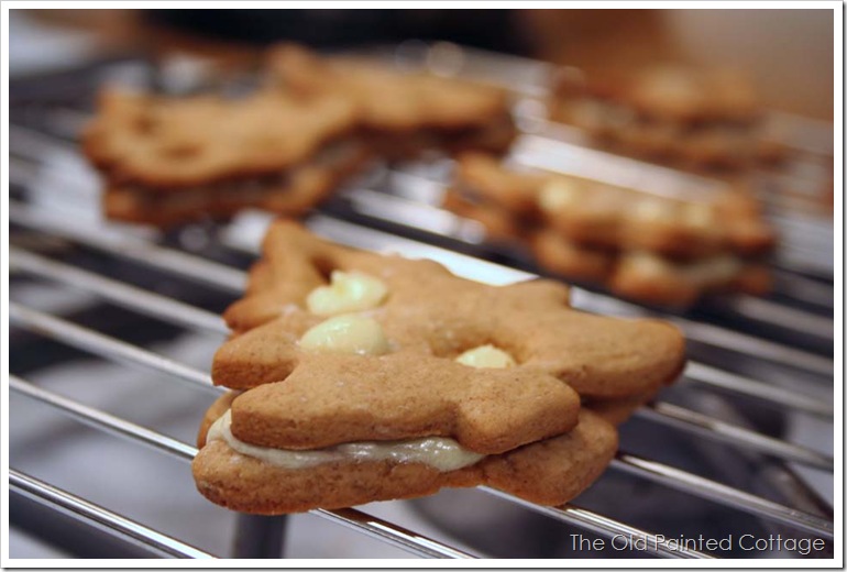 cookie9