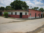 Palmeiras_1.jpg