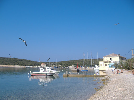 DSCF0791.JPG