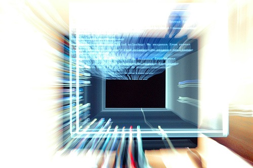 [network view[2].jpg]