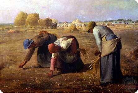 gleaners millet