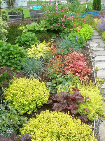 [yard20283.jpg]