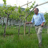 Tullio e il 501 Corno silice