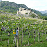 Tullio e il 501 Corno silice