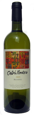 Salvanel2005.jpg
