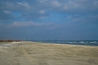 Seashore in winter with industial buildings in the background