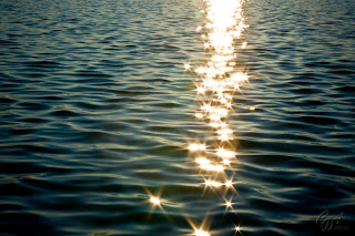 Sun sparkles in the water
