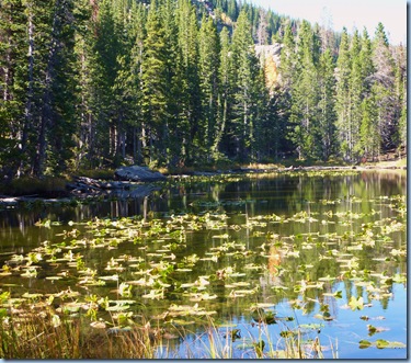 Rocky Mountain National Park Nymph Lake