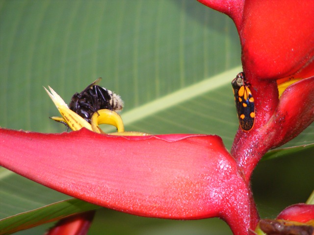 [2010_05220039[2].jpg]