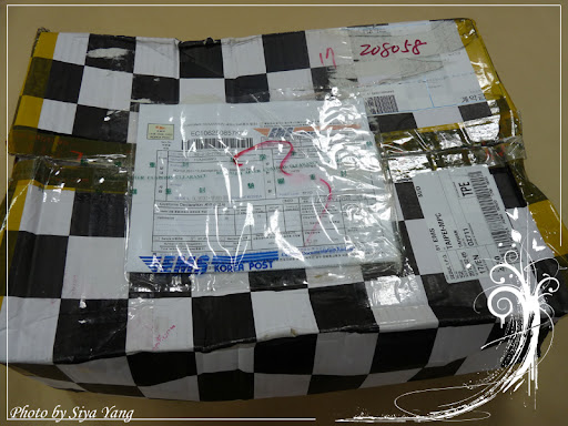 P1010862.jpg
