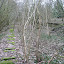 Photo by Mick Knox (17 February 2009). © All Rights Reserved.