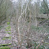 Photo by Mick Knox (17 February 2009). © All Rights Reserved.
