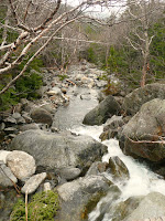 Mt Washington- ruisseau 1877.JPG