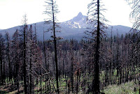 Mt Washington 7876.jpg Photo Mt Washington 7876.jpg Photo