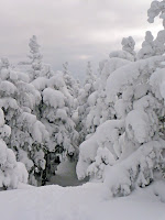 Mt Giant, sommet 3666.JPG