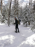 Hurricane Mt- Josée Benoit 3615.JPG Photo