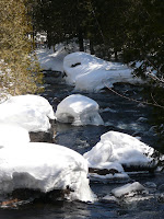 Lake Colden 3720.JPG Photo