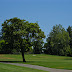 Tree and trees