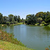 Pond in Putah Creek