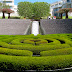 Floating azalea maze