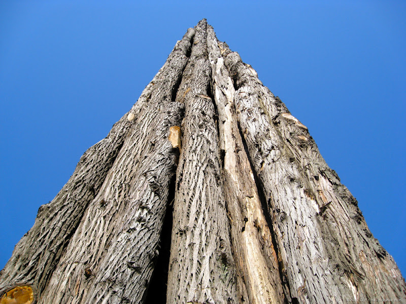 Looking up the Spire