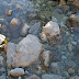 Yosemite Creek