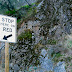 STOP HERE ON RED