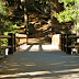 Footbridge at Mist Trail's end