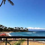 View from The Sea House